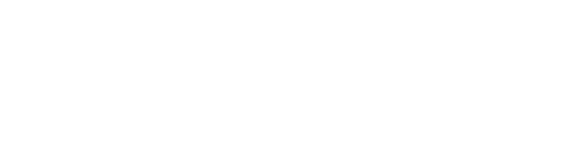 Ani Wolff logo